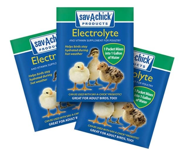Pet supplies include a wide range of products designed to support the health, comfort, and well-being of pets. These products may include food, toys, grooming tools, bedding, feeding accessories, and hygiene items for animals such as dogs, cats, birds, and small pets. Quality pet supplies help ensure pets stay healthy, active, and happy in their daily lives. 🐾